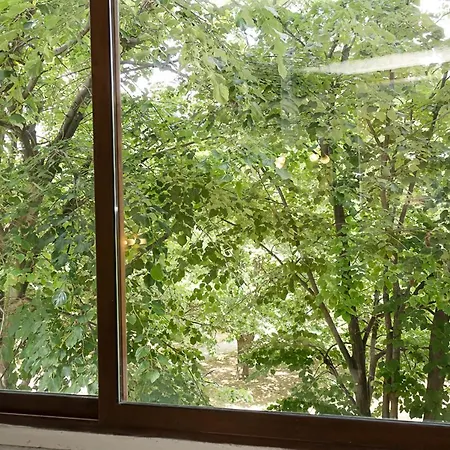 Chayka Charm Cozy 1bd In By Flat Mаnager Daire Varna